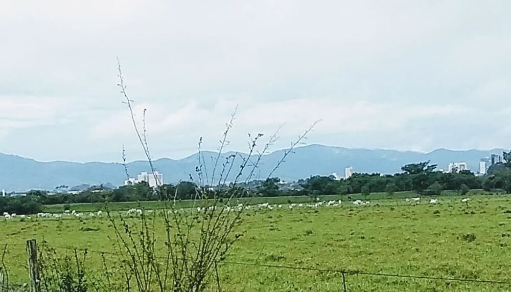 Terreno, 2 hectares - Foto 3