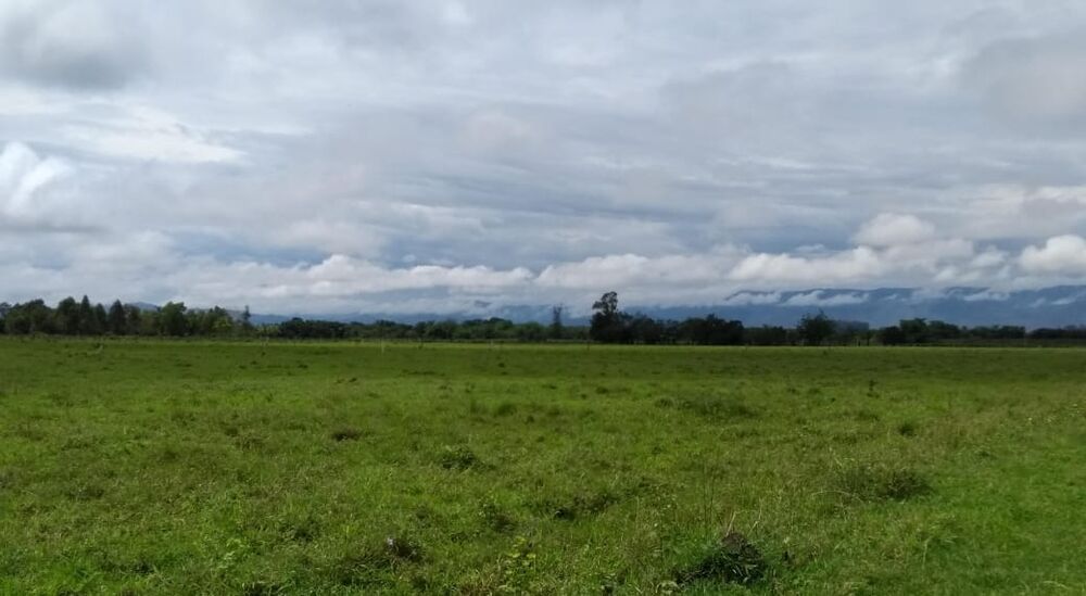 Terreno, 2 hectares - Foto 4