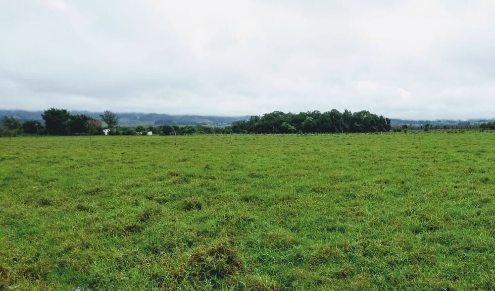 Terreno, 2 hectares - Foto 1