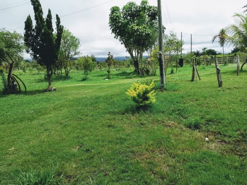 Terreno, 2 hectares - Foto 7