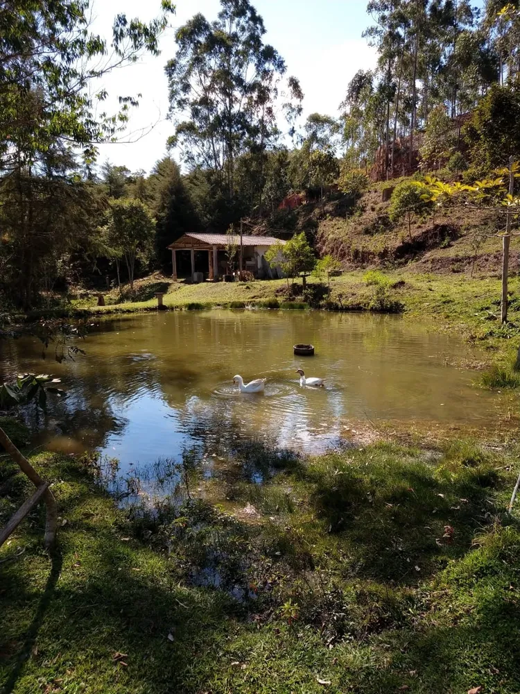 Sítio, 5 quartos, 2 hectares - Foto 2