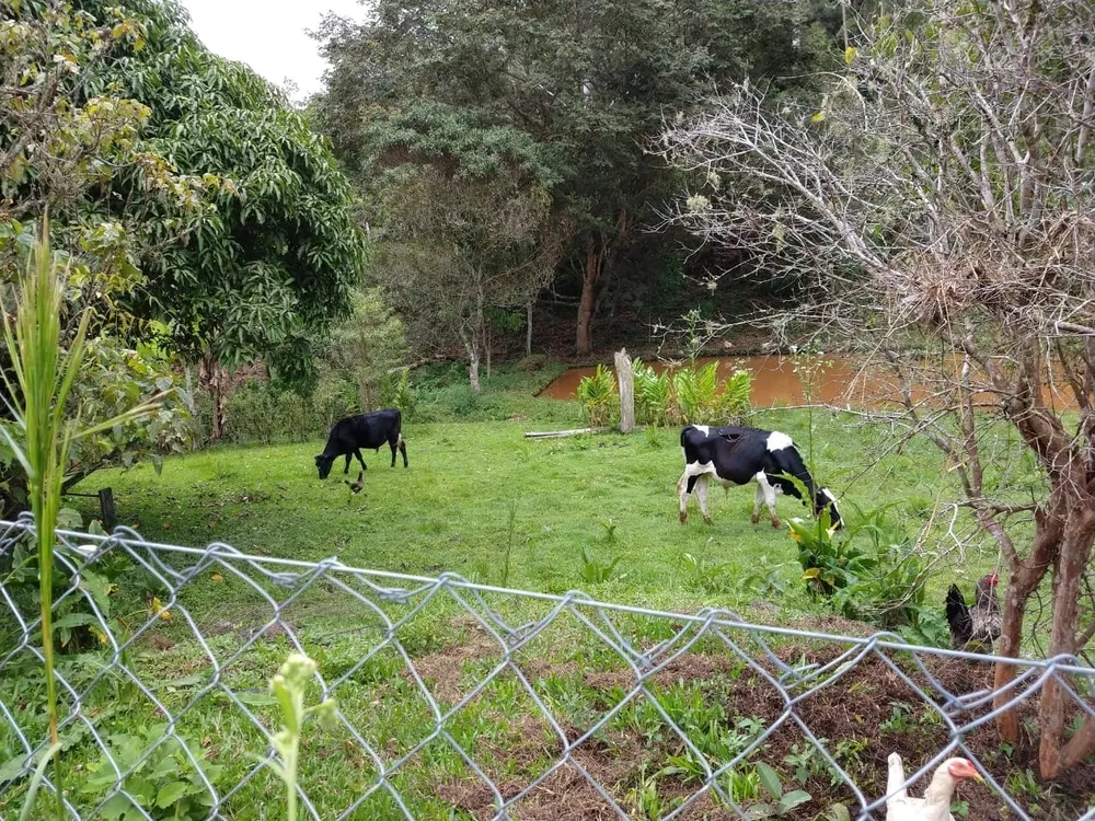 Sítio, 5 quartos, 2 hectares - Foto 1