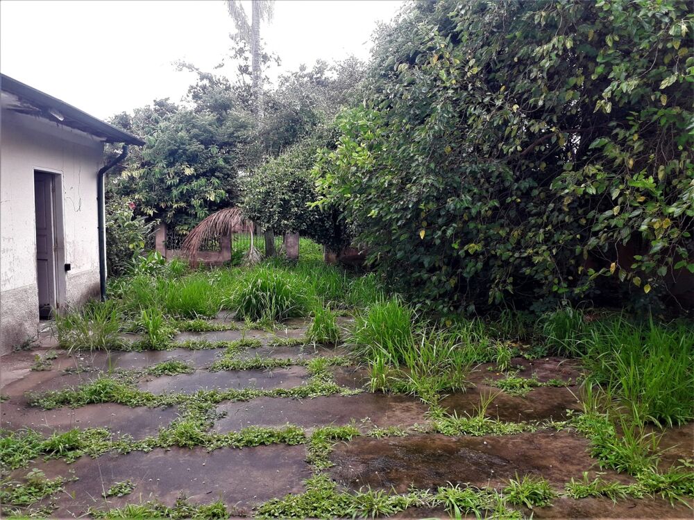 Casa, 4 quartos - Foto 6