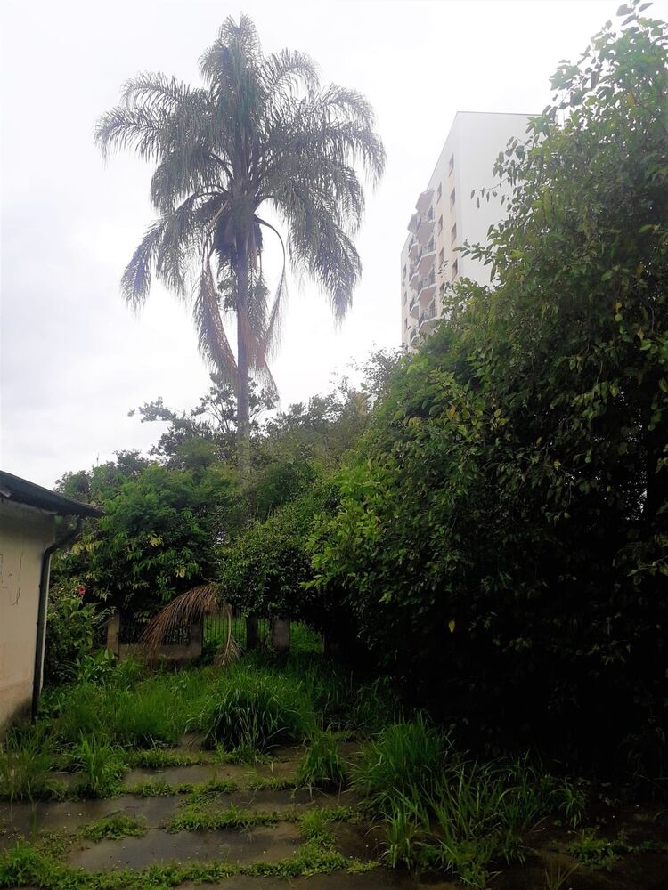 Casa, 4 quartos - Foto 1
