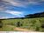 Terreno, 17 hectares - Foto 4
