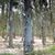 Terreno, 17 hectares - Foto 2