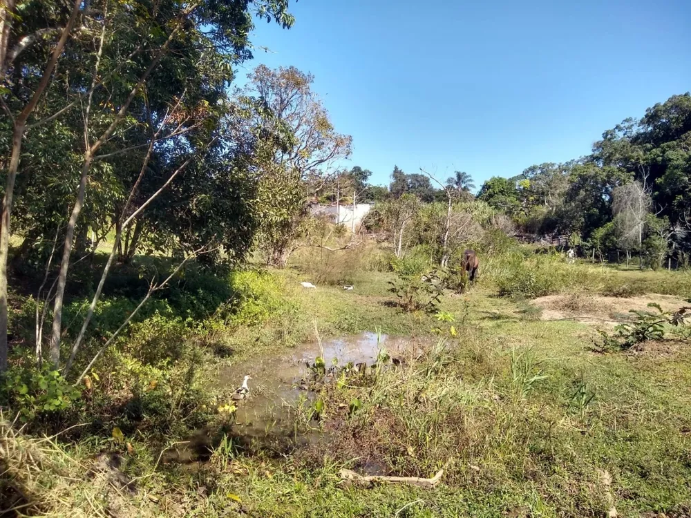 Terreno, 4000 m² - Foto 4