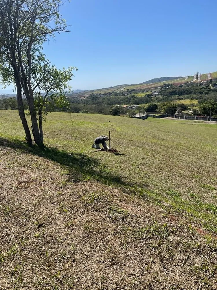 Terreno, 2446 m² - Foto 3