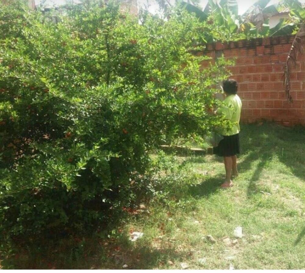 Sobrado, 1 quarto, 185 m² - Foto 4