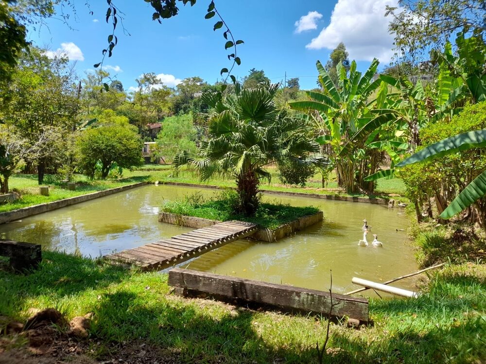 Chácara, 3 quartos, 8600 m² - Foto 12