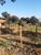 Terreno, 300 m² - Foto 1