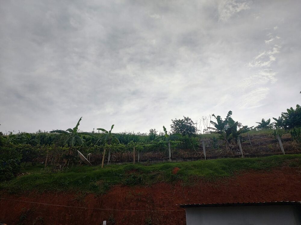 Chácara, 1 quarto, 3000 m² - Foto 3