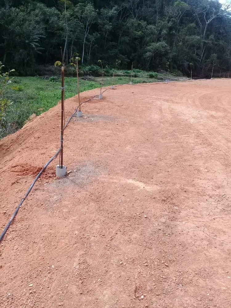 Terreno, 4 hectares - Foto 4