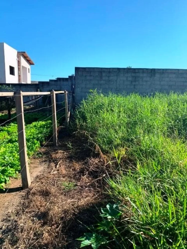 Terreno, 300 m² - Foto 4