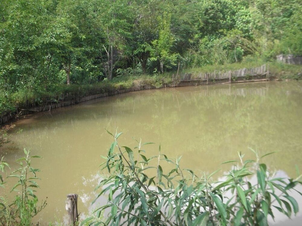 Terreno à venda com 4 quartos - Foto 7