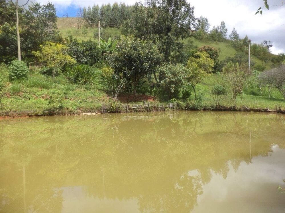 Terreno à venda com 4 quartos - Foto 8