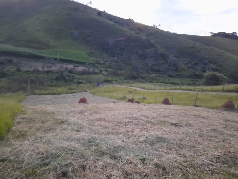 Terreno, 3000 m² - Foto 3