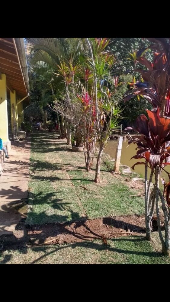 Sítio, 3 quartos, 3000 m² - Foto 3