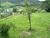 Terreno - Foto 5