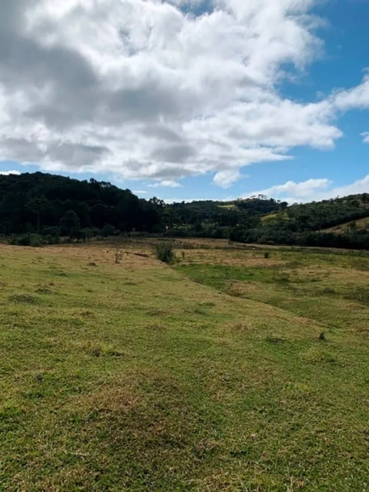 Terreno, 2 hectares - Foto 4