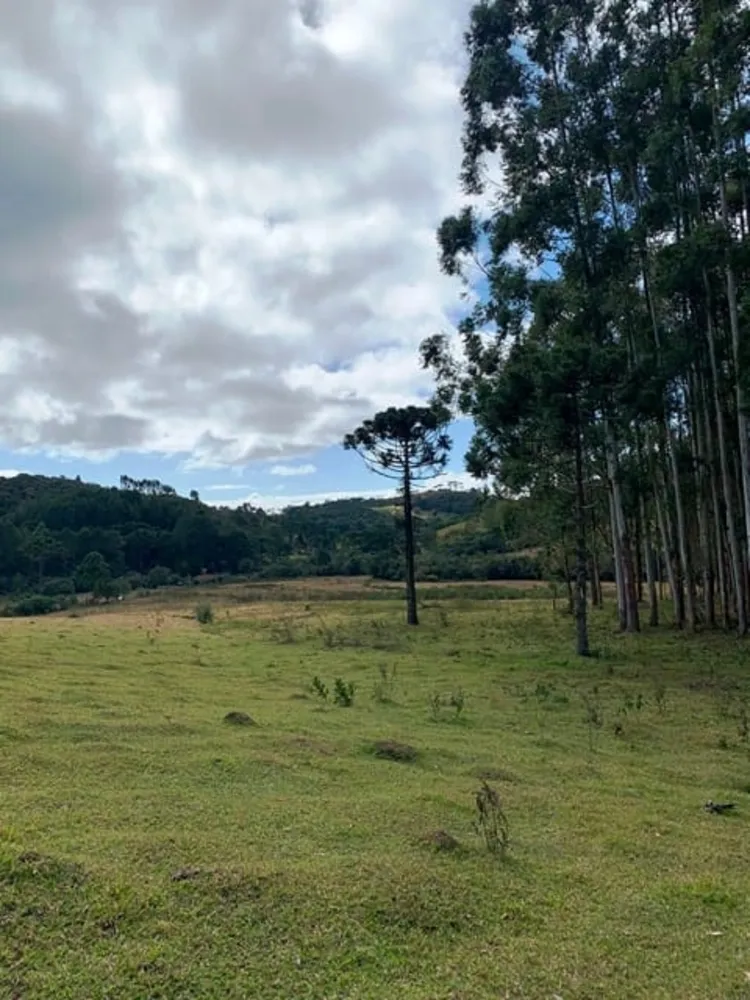 Terreno, 2 hectares - Foto 1