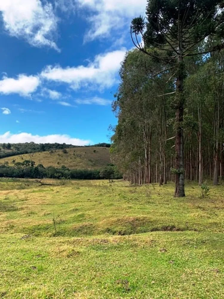 Terreno, 2 hectares - Foto 3
