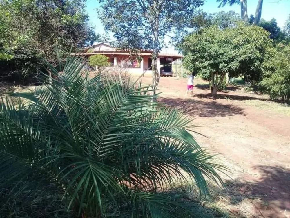 Sítio, 2 quartos, 2000 m² - Foto 2
