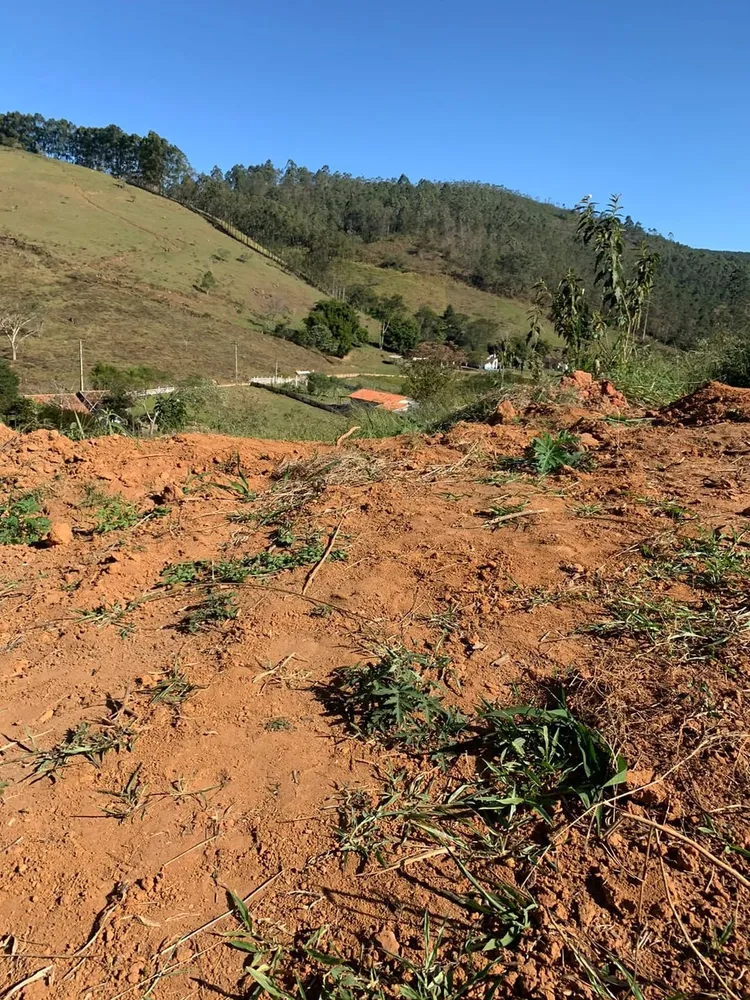 Terreno, 4 hectares - Foto 1