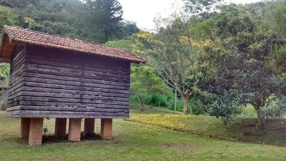 Terreno, 8 hectares - Foto 3