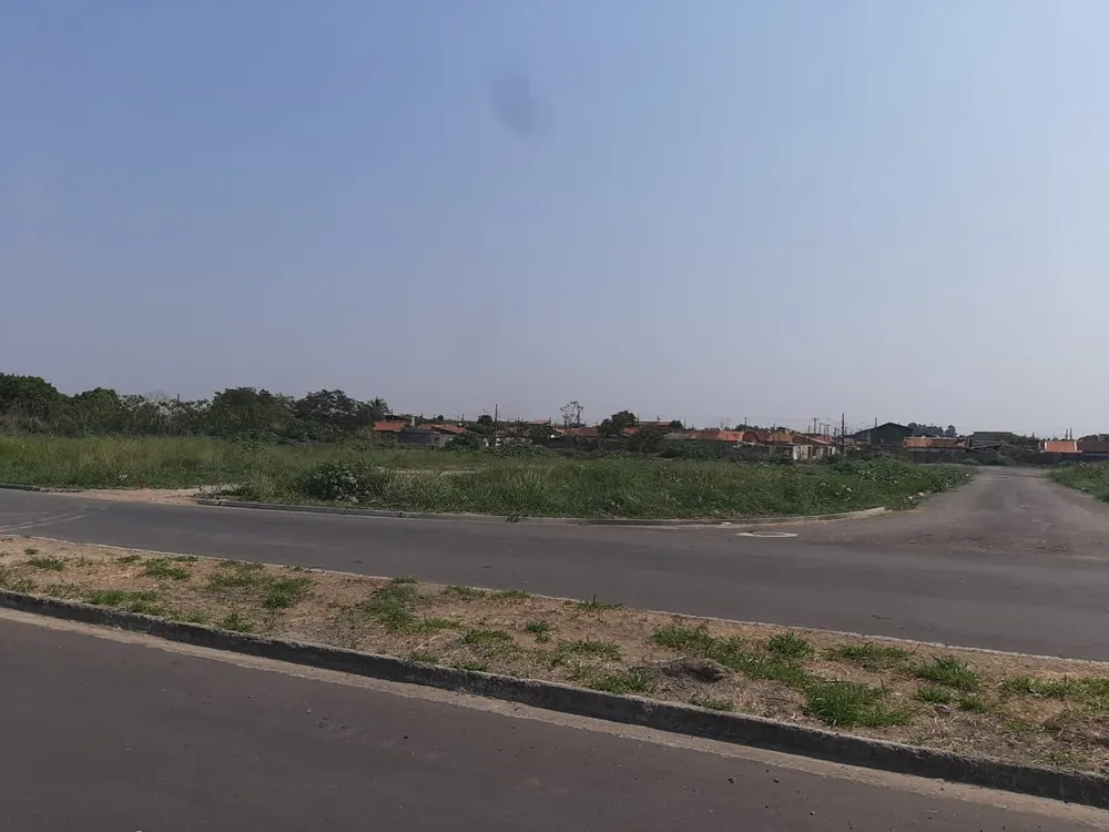 Terreno, 3 hectares - Foto 4
