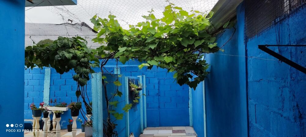Casa à venda com 3 quartos, 350m² - Foto 3