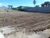 Terreno, 750 m² - Foto 3