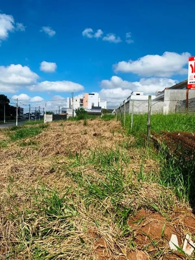 Terreno, 330 m² - Foto 4