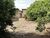 Terreno, 774 m² - Foto 3