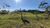 Terreno, 2 hectares - Foto 2