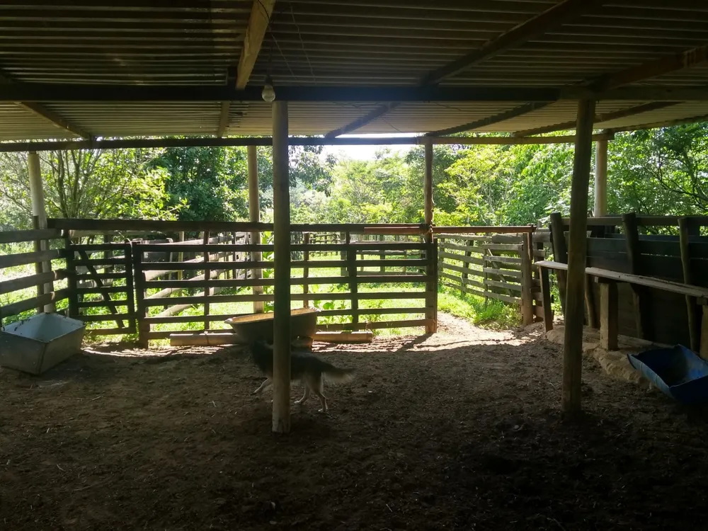 Sítio, 2 quartos, 30 hectares - Foto 1