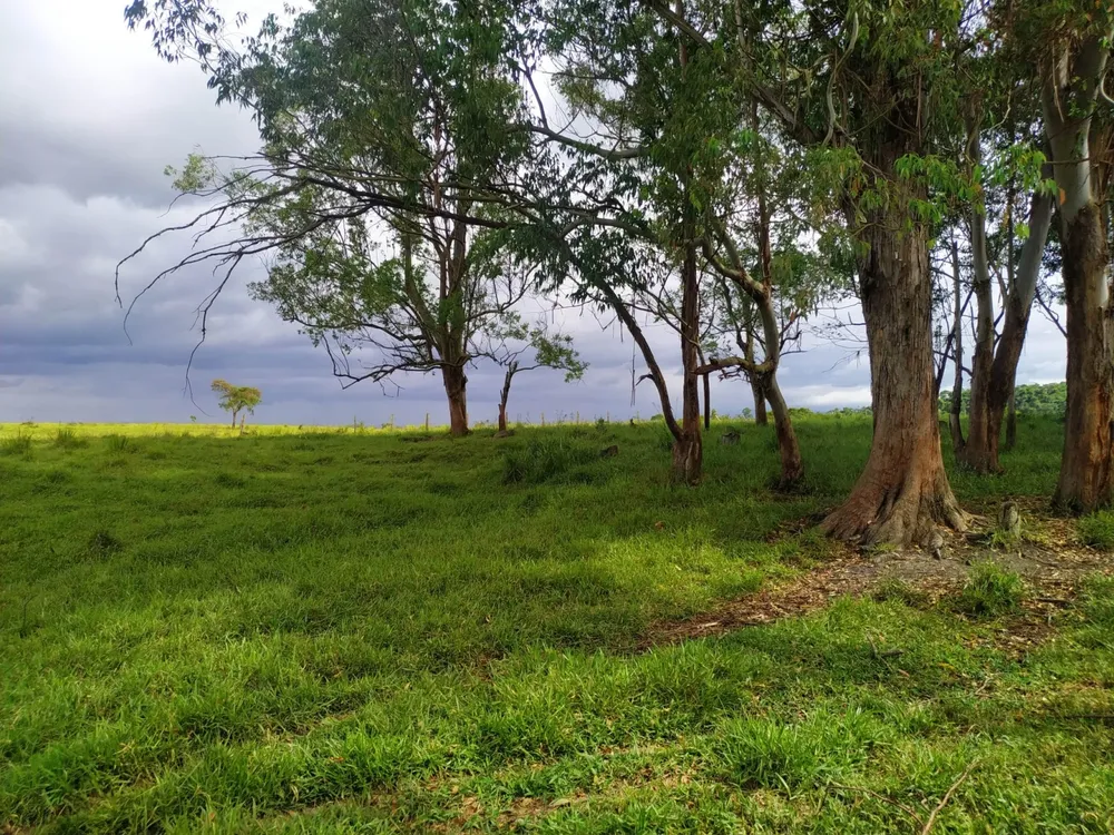 Terreno, 17 hectares - Foto 4