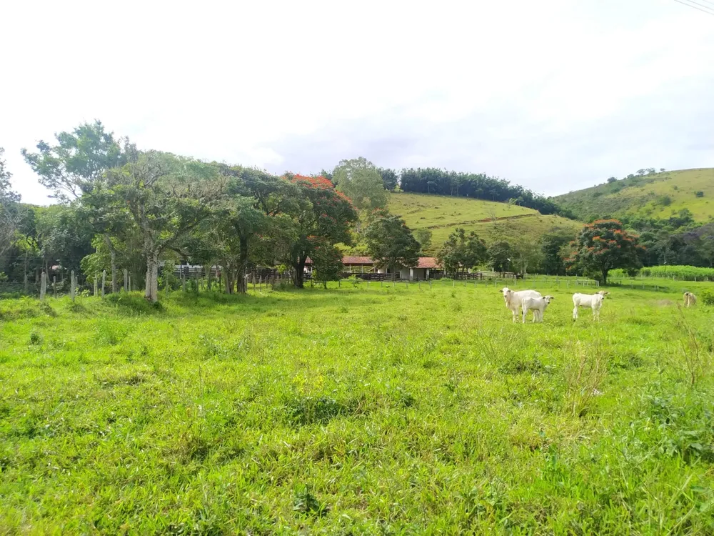 Terreno, 17 hectares - Foto 3