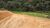 Terreno, 4 hectares - Foto 3