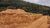 Terreno, 4 hectares - Foto 4