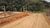 Terreno, 4 hectares - Foto 8