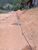Terreno, 4 hectares - Foto 2