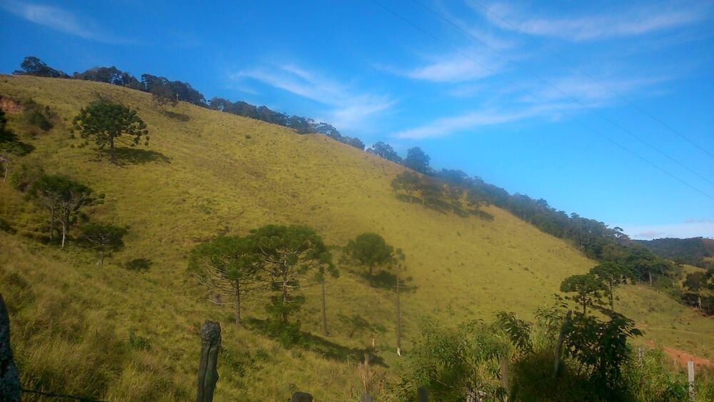 Terreno à venda, 145200m² - Foto 3