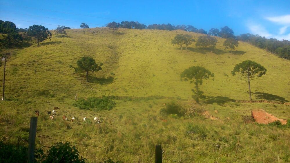 Terreno à venda, 145200m² - Foto 6