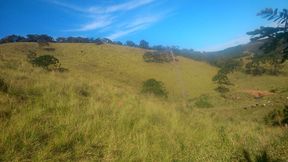 Terreno à venda, 145200m² - Foto 2