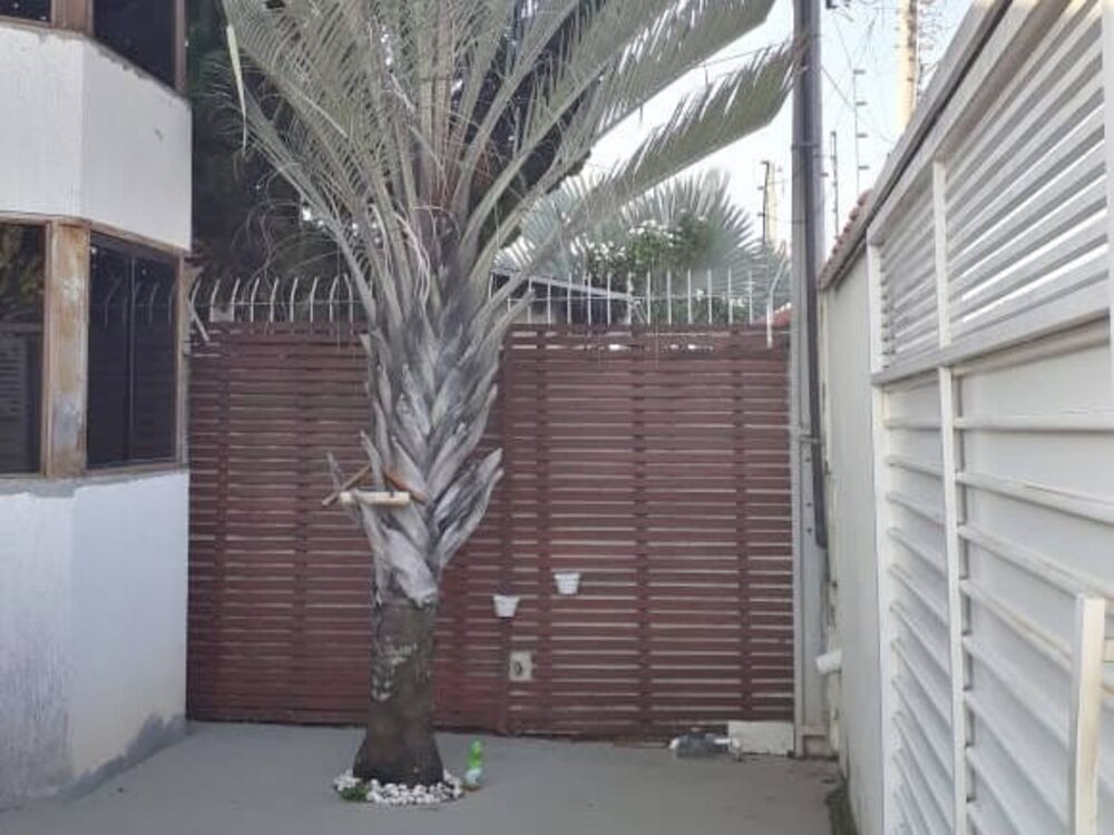 Sobrado à venda com 4 quartos, 262m² - Foto 3