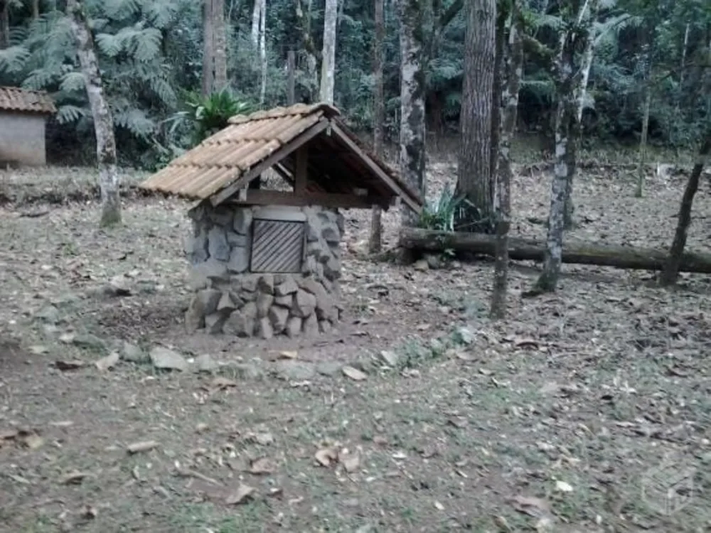 Sítio, 4 quartos, 5 hectares - Foto 1