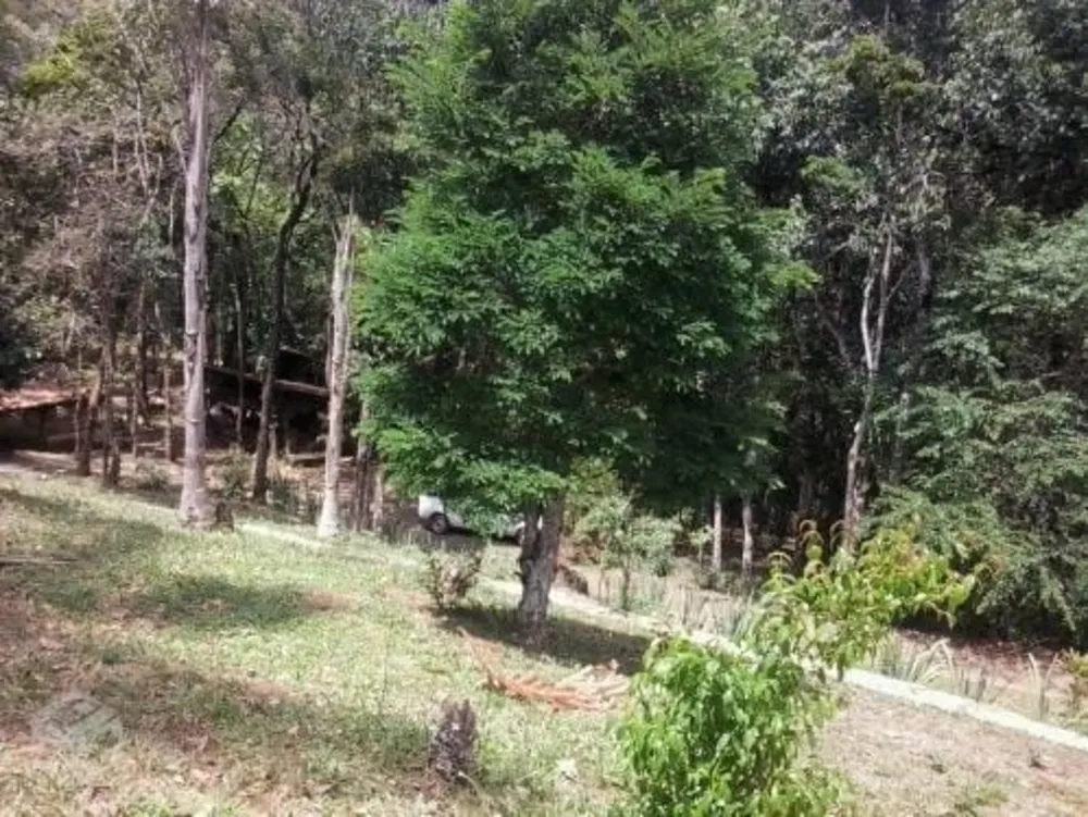 Sítio, 4 quartos, 5 hectares - Foto 2