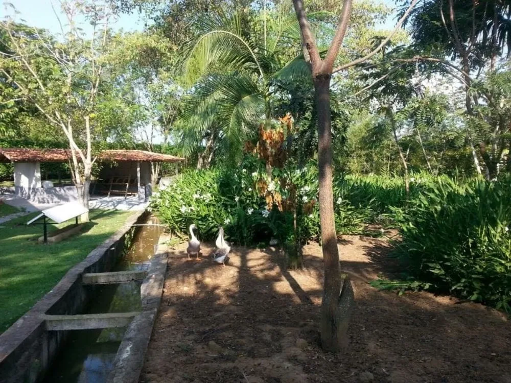 Sítio, 3 quartos, 5700 m² - Foto 3