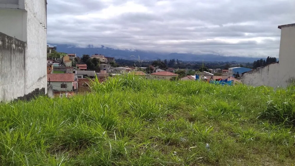 Terreno, 250 m² - Foto 1